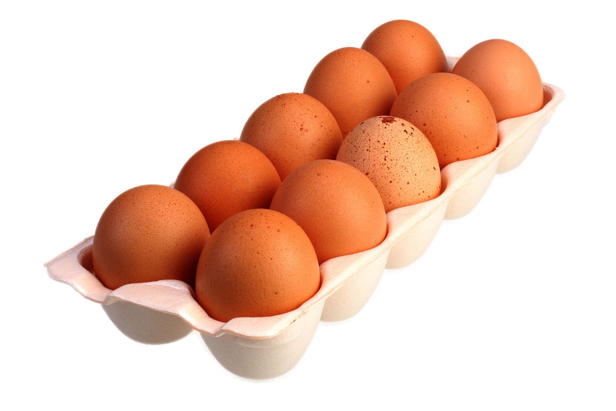 Free Range Eggs -15