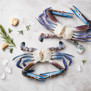 Blue Swimmer Crab 1kg